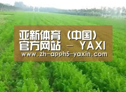 种植基地四