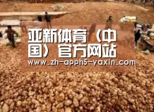 种植基地二