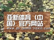 种植基地七