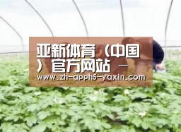 种植基地三