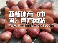 产品展示标题5(图1)