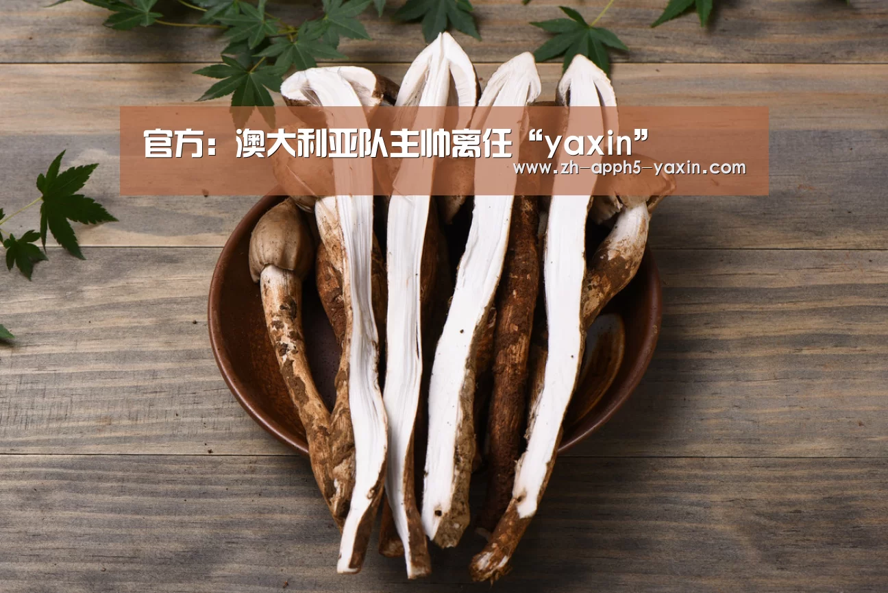 官方:澳大利亚队主帅离任“yaxin”(图1) 官方:澳大利亚队主帅离任“yaxin”(图1)